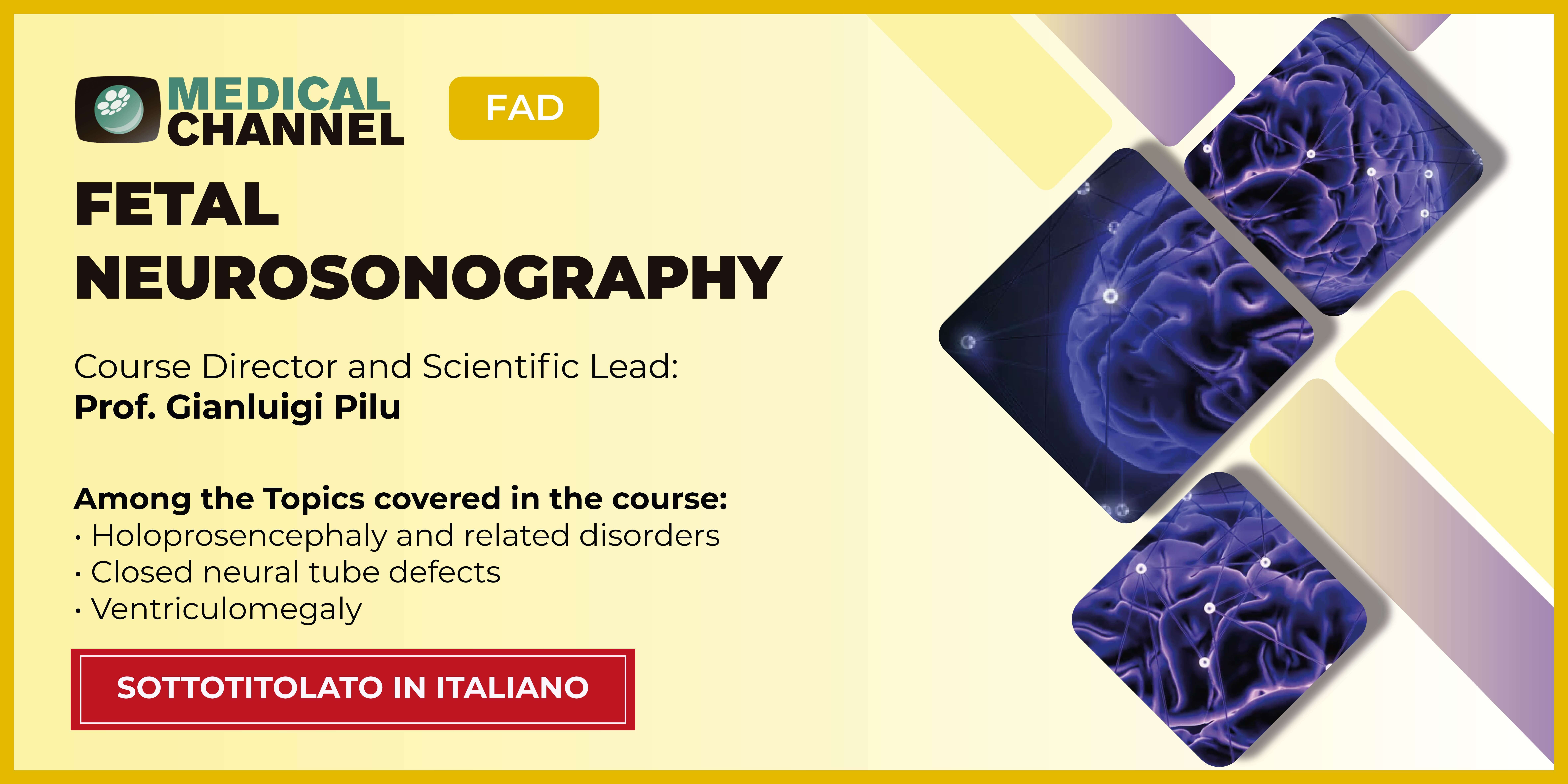 Fetal Neurosonography